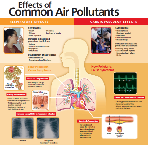 Health Effect Air Pollution Epa