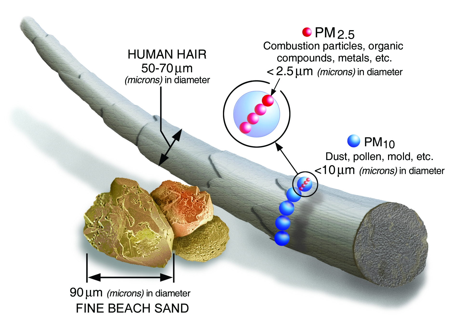 Pm2 5 Scale Graphic Color 2